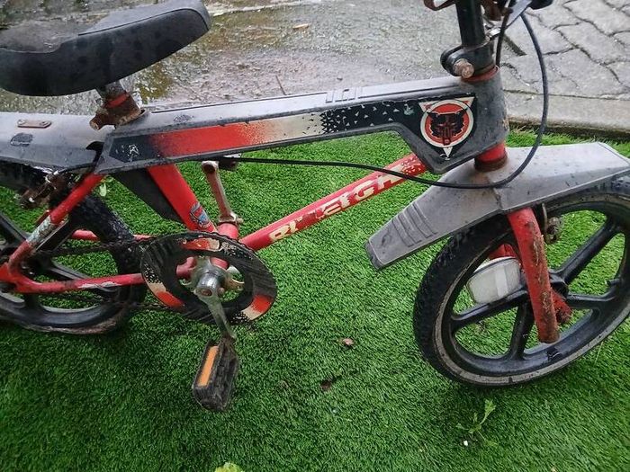 Raleigh wolf