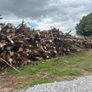 Timber logs Image 3
