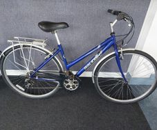 Raleigh Pioneer 140