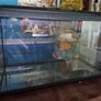 Fish Tank and Stand Image 5
