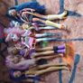 monster high doll bundle Image 2