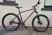 Adult mountain bike