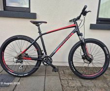 Adult mountain bike