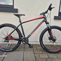 Adult mountain bike