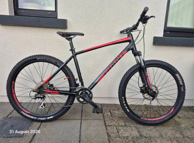 Adult mountain bike