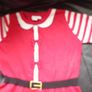 Girls Christmas Dress Image 3
