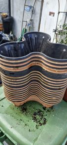 flower pot