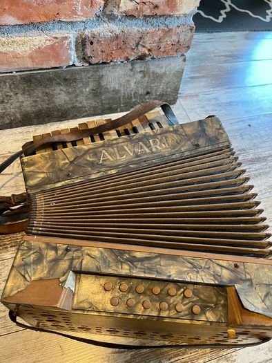 vintage Accordion