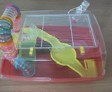 Hamster cage