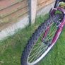 Apollo Twilight Mountain Bike - 14" S Frame Image 4