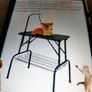 Grooming table grandma shark brand Image 2