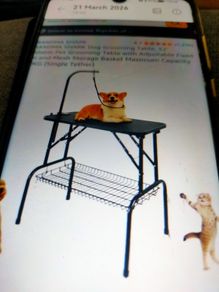 Grooming table grandma shark brand