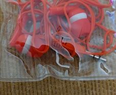 Earphones