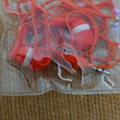 Earphones