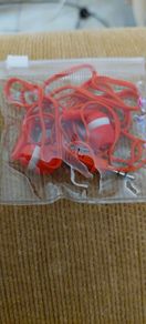 Earphones