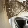 Honda Alloy Wheels Accord Civic Image 7