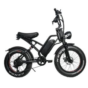 Happyrun HR-G50 Electric Bike