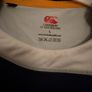Leinster Match worn shirt Image 3