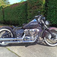 YAMAHA XVS custom bobber 2001