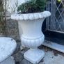 Decorative Concrete Planters Image 3