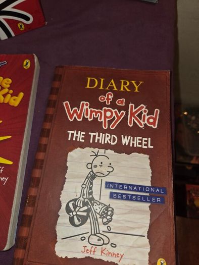 9 Diary of a Wimpy Kid/Awesome Friendly Books