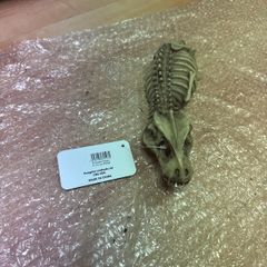 reptile decoration