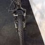 boys 24inch bike Image 5