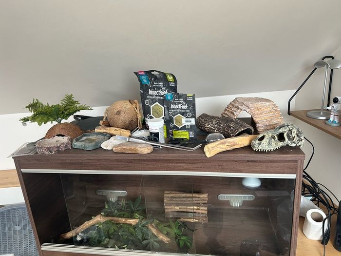 Gecko Enclosure