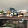 Gecko Enclosure Image 2