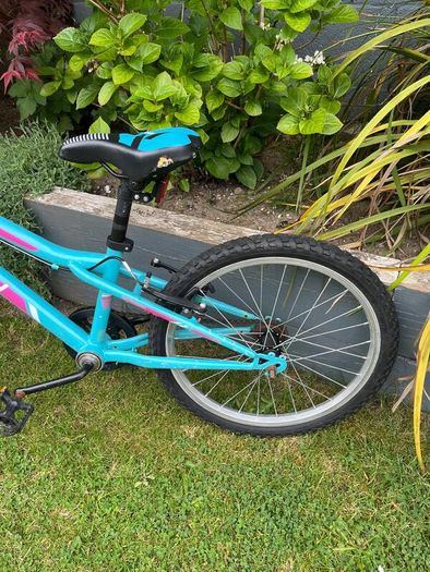 Avery 20" Child's Bike