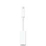Apple Thunderbolt to Internet Image 2