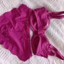 Fantasie Estelle - Underwired Side Support Bra 30F and Briefs S - Berry - BNWT RRP 80 Image 7