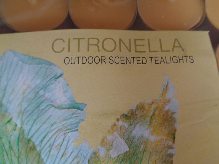 Cintronella Outdoor Tealights x 25 for Sale