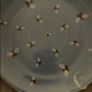 Tipperary Crystal Image 4