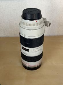 Canon 70-200 2.8
