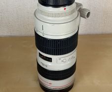 Canon 70-200 2.8