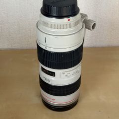 Canon 70-200 2.8