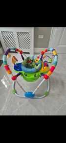 Baby Einstein Entertainer