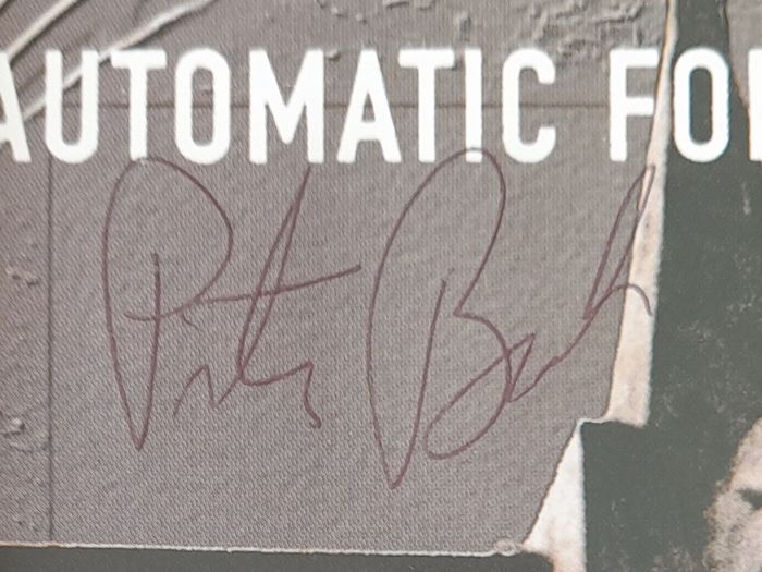 REM signed CD Peter Buck doodle