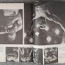 The Best Of Life Book Image 3