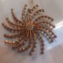 V large brooch, star burst design, D18 post 4e Image 3