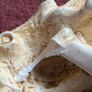 Metropolitan Museum of Art MMA Magnifying Glass & Letter Opener Faux Ivory Set Image 10