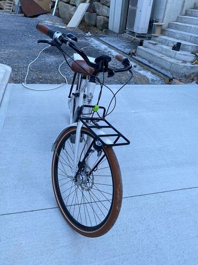 Electric bike ( Electra)