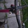 Ladies Bike Image 4