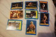 Wwf Cards - Wwe