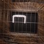 Small Dog Crate Image 4