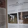 TV Vet/No.2/ Calving the Cow & Care of the Calf / Eddie Straiton / 1996 Image 10