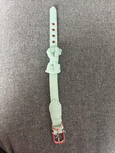 dog collars
