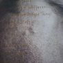 Bob Geldof - The Vegetarians of Love - 1990 vinyl LP Image 2