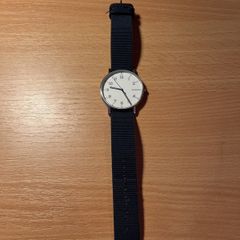 Skagen watch